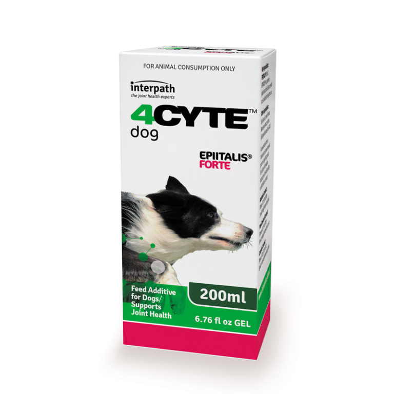 Buy 4CYTE Epiitalis Forte Gel for Dogs 200ml Online - The Lake