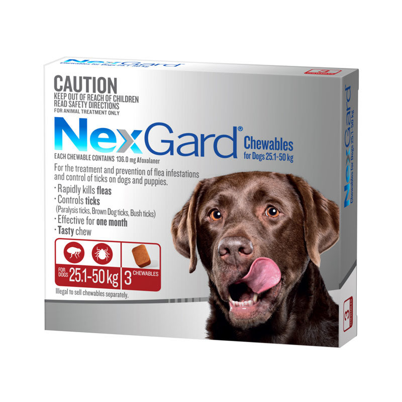 cheap tick and flea control for dogs
